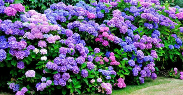 30 Landscaping Plants For A Lush Garden