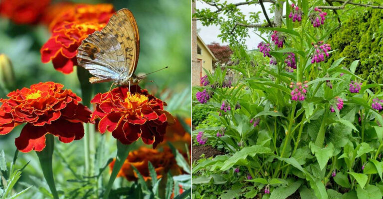 5 Plants That’ll Save Your Garden & 5 That’ll Destroy It
