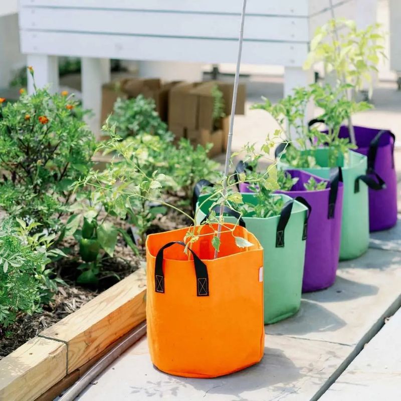 Use Fabric Pots (or Air-Pruning Containers)