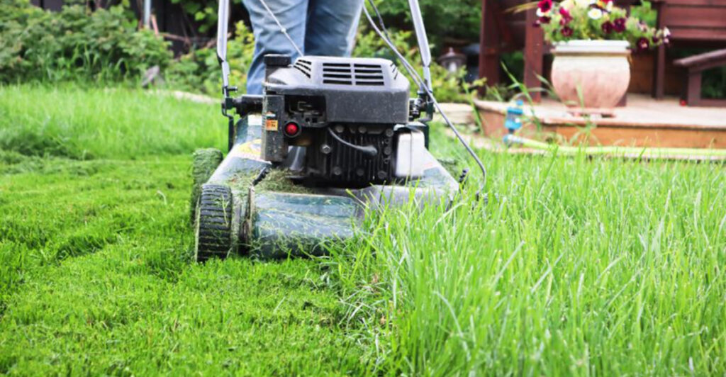 7 Lawn Care Habits for a Greener Yard (+ 3 Mowing Blunders That Kill Grass)