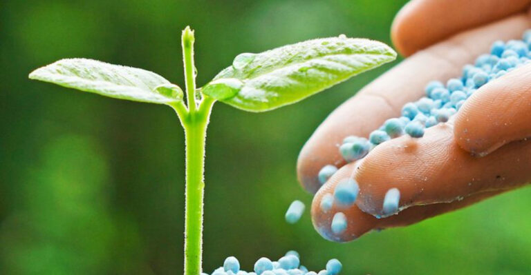 8 Expert Tricks That Make Seeds Sprout Shockingly Fast