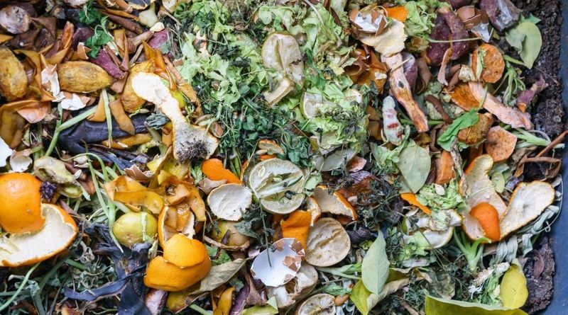 Citrus Peels Deodorizer