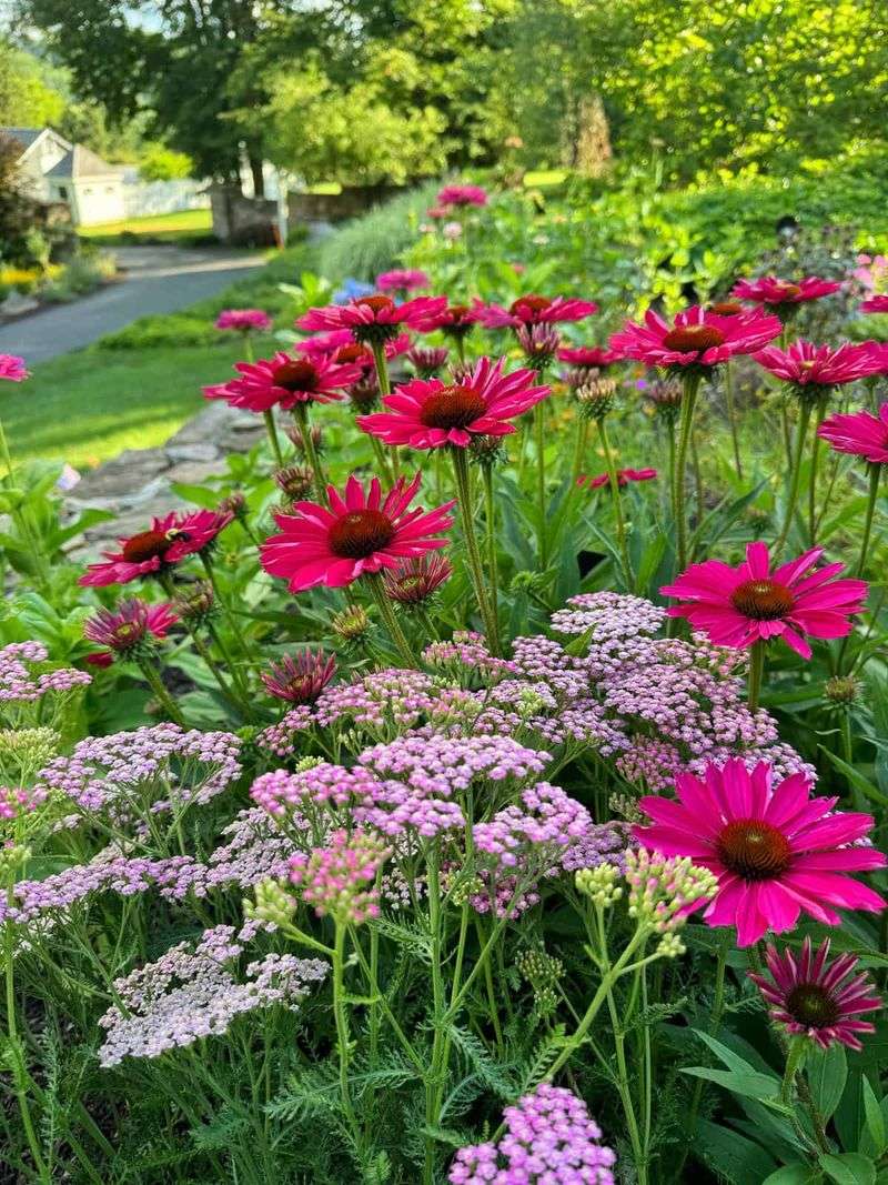 Choose Low-Maintenance, Drought-Tolerant Options