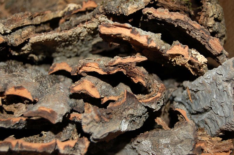 Incorporate Cork Pieces