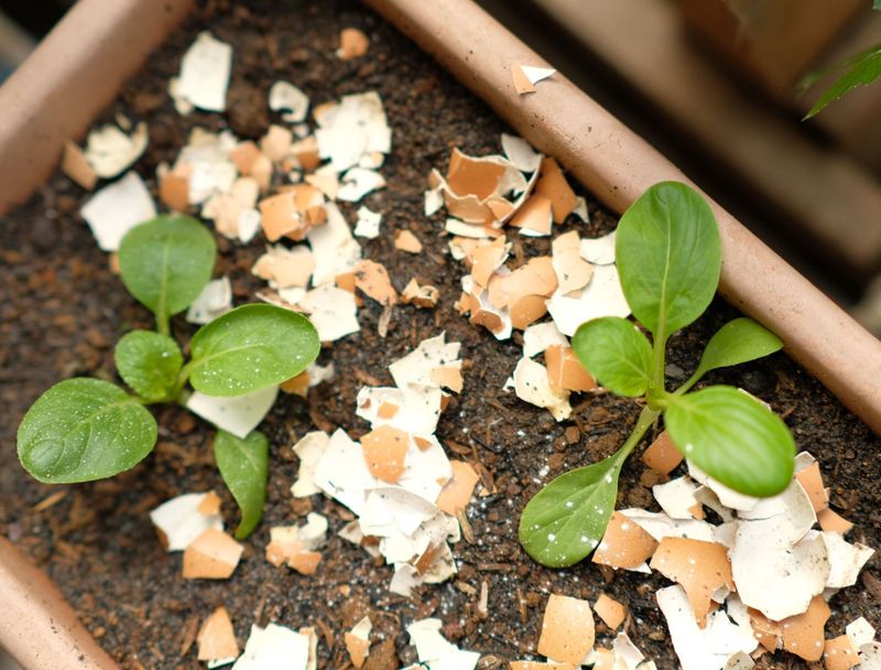 Neutralize Acidic Compost