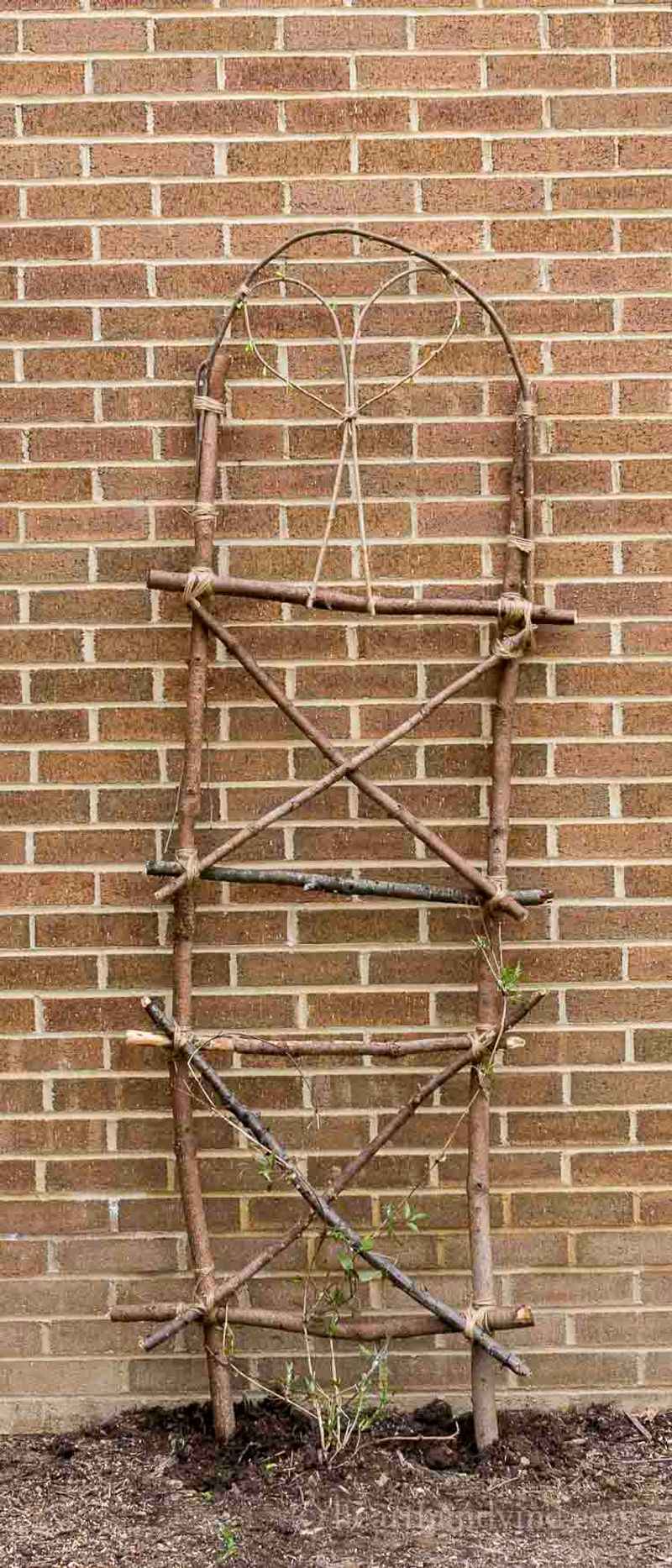 Twig Trellis
