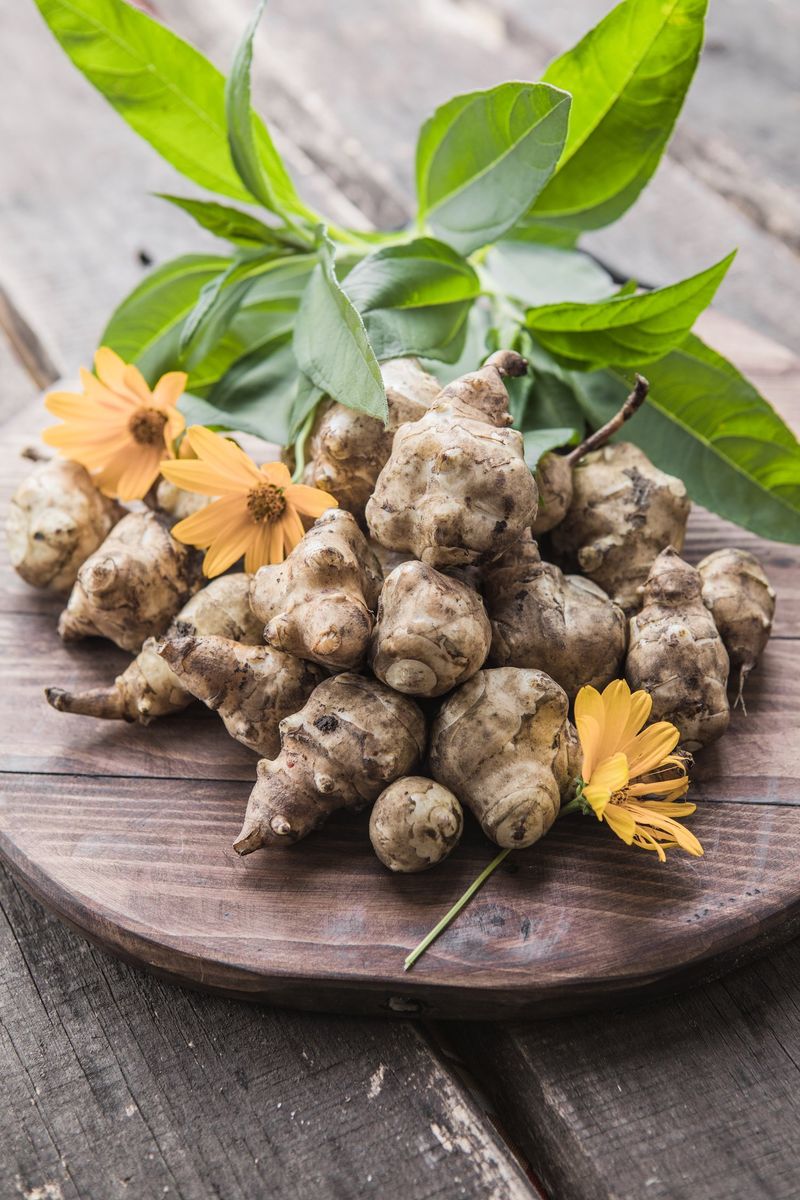 Sunchoke (Jerusalem Artichoke)