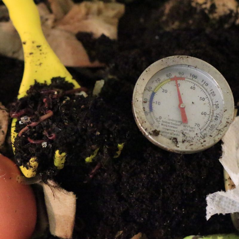 Temperature Influence