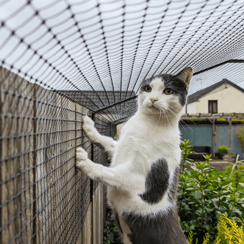 Place Physical Barriers