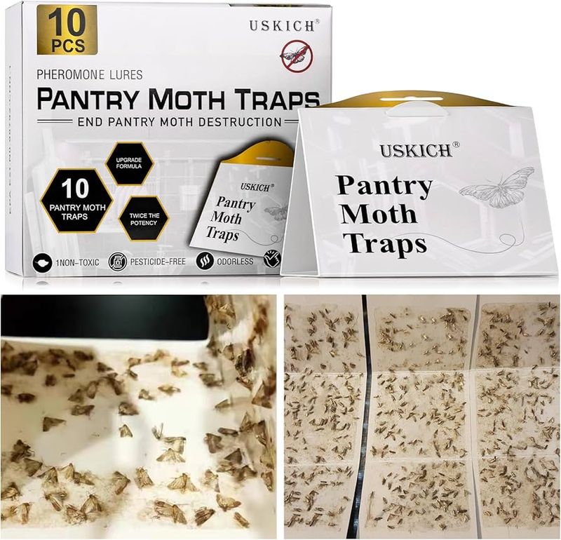 Set Up Pheromone Traps