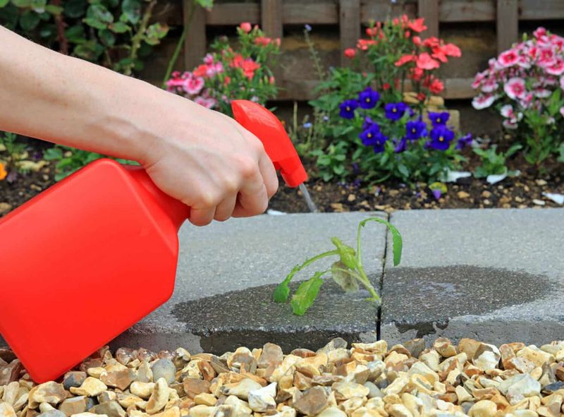 Monitor and Reapply Monthly