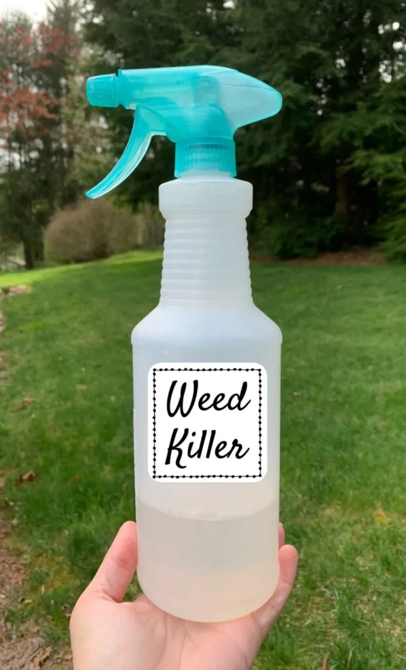 Use a Spray Bottle or Garden Sprayer