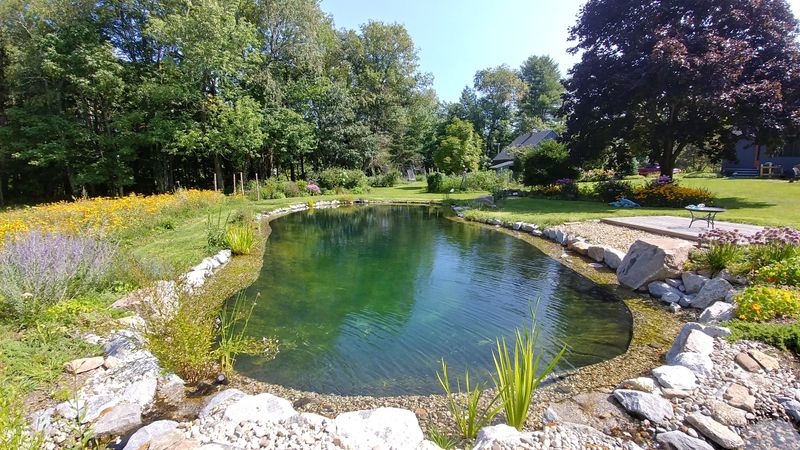 Natural Swimming Ponds