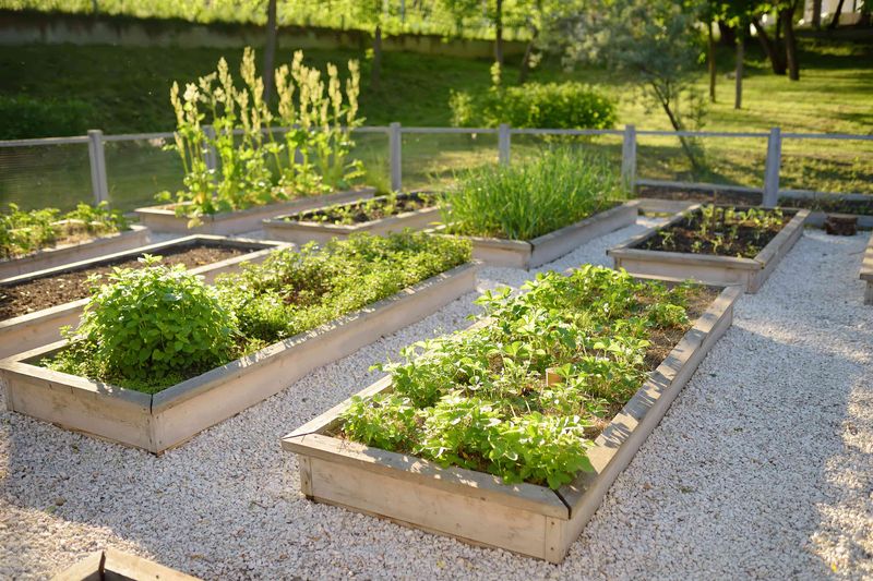 Use Raised Beds If Possible