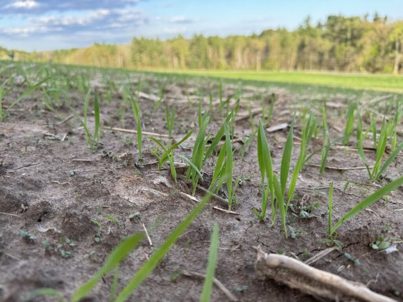 Monitor Weather Conditions