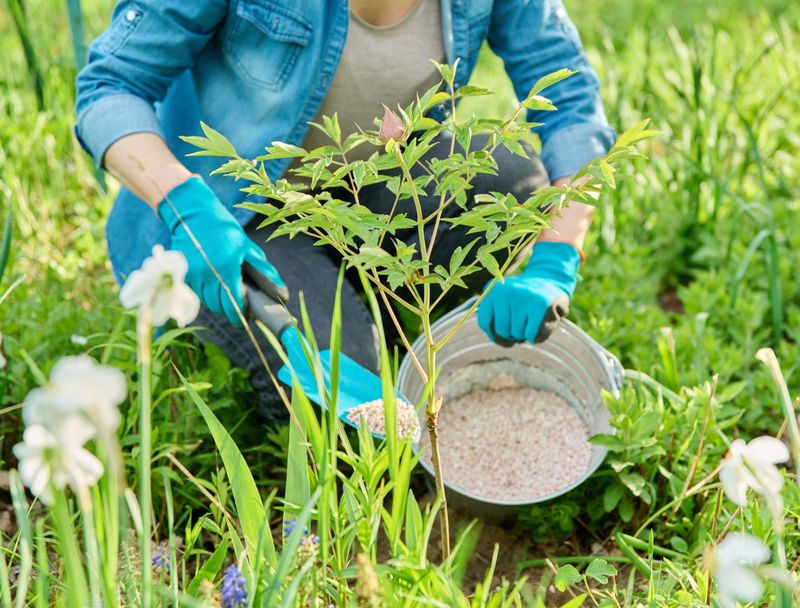Avoid Excessive Fertilizer