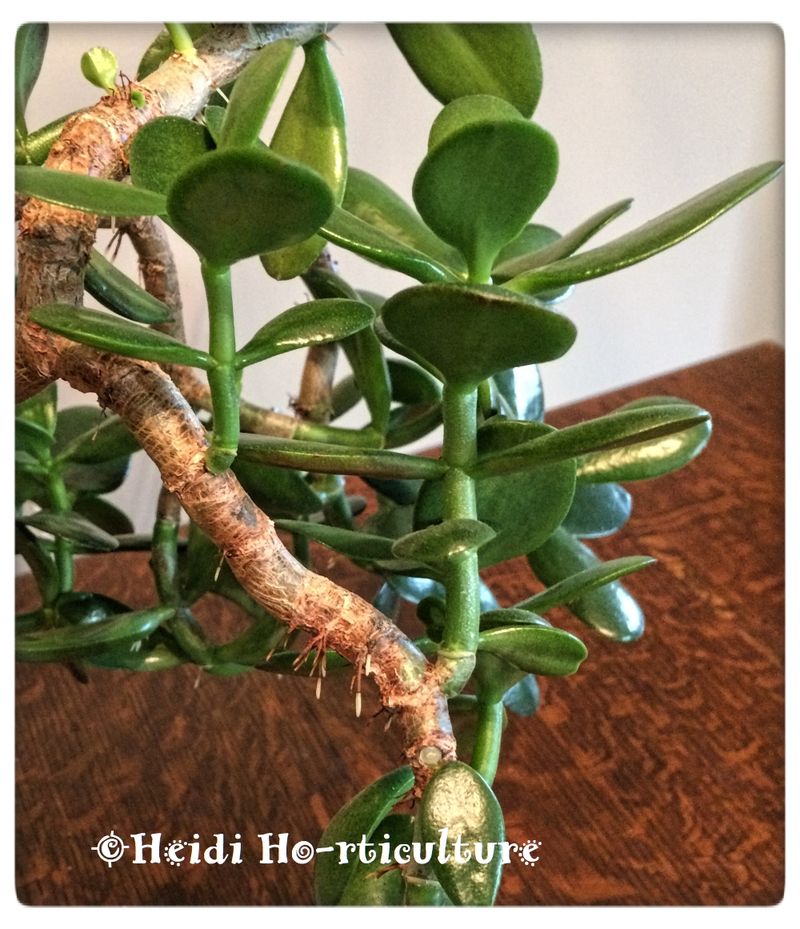 Promoting Air Circulation