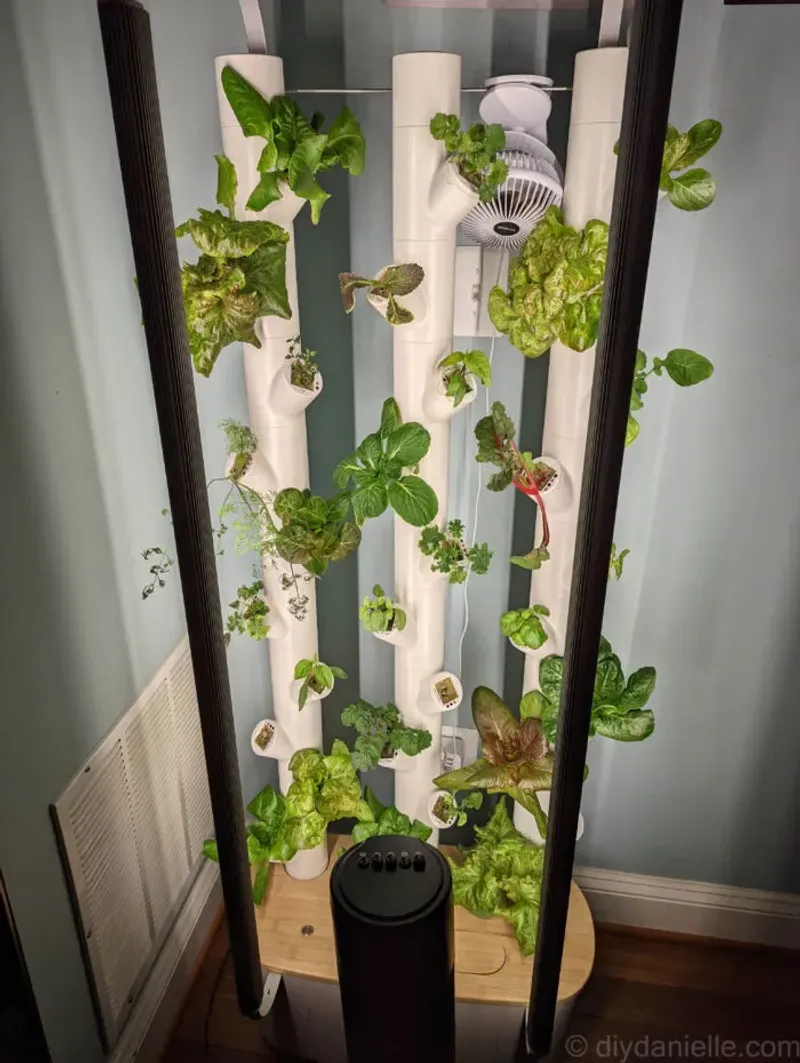Indoor Hydroponic Systems