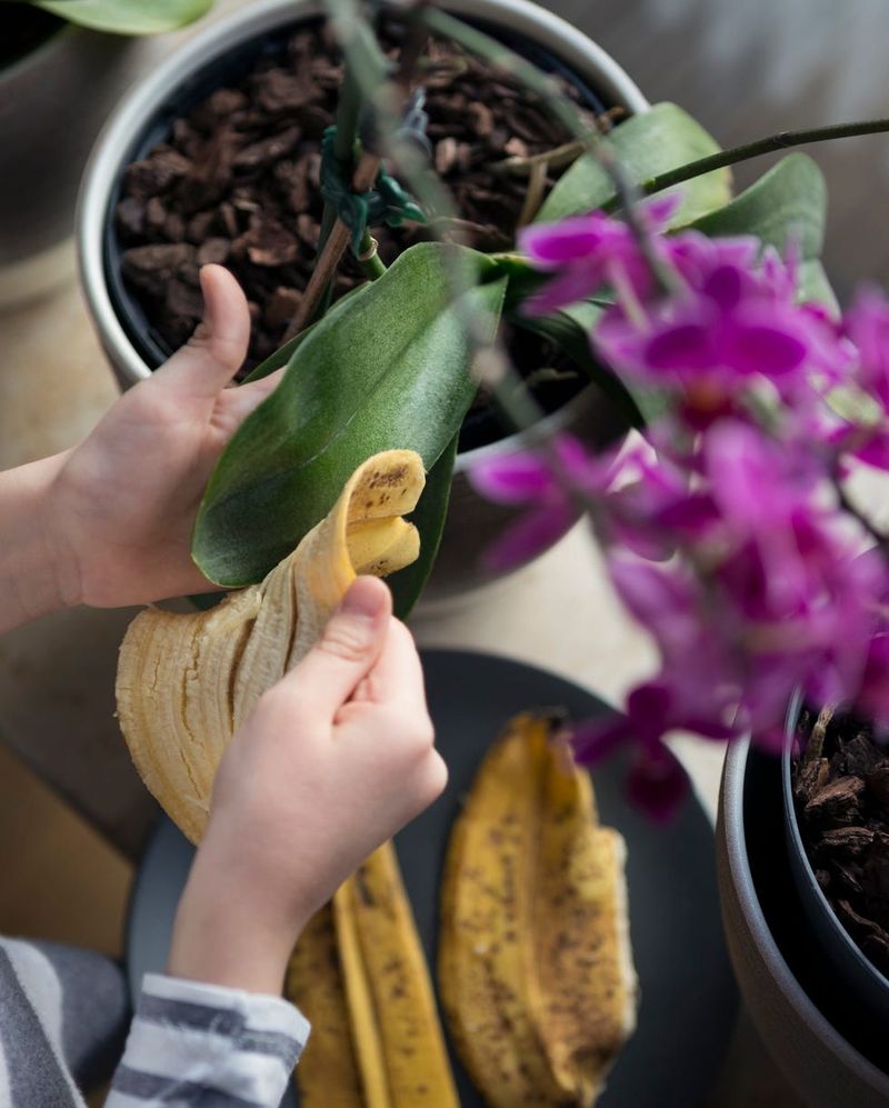 Banana Peel Plant Polish