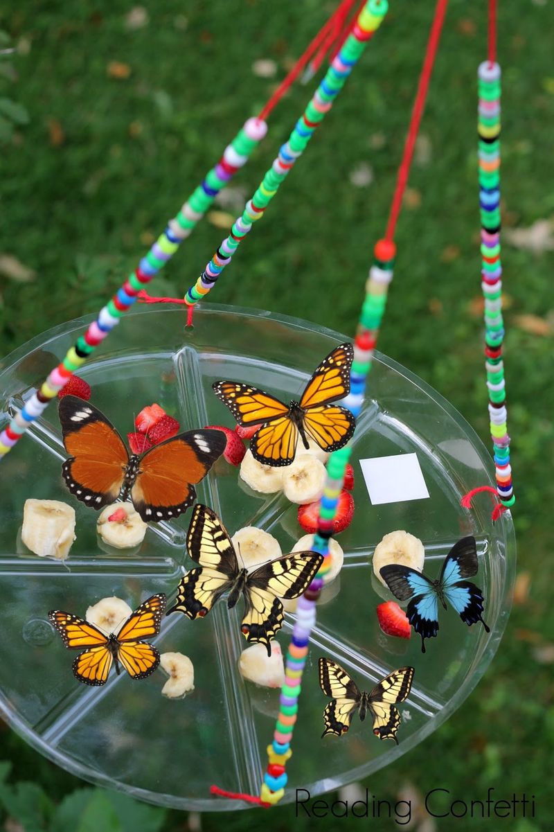 Butterfly Feeding Stations