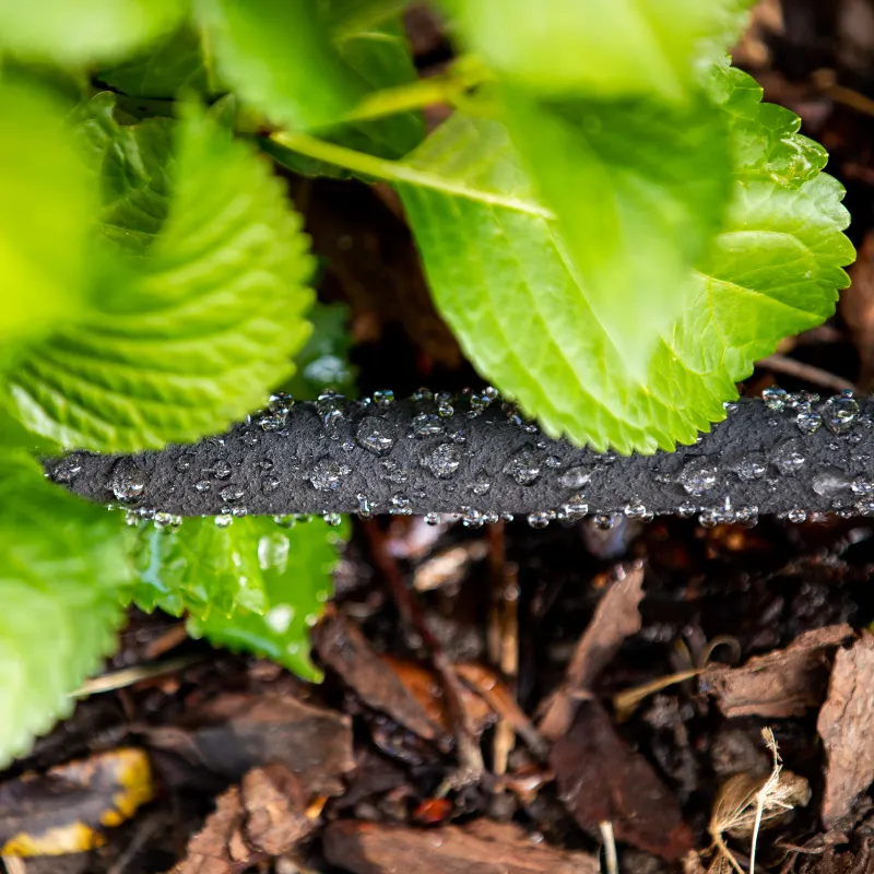 Group Plants with Similar Needs