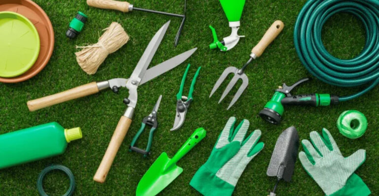 Beginner’s Guide to No-Dig Vegetable Beds