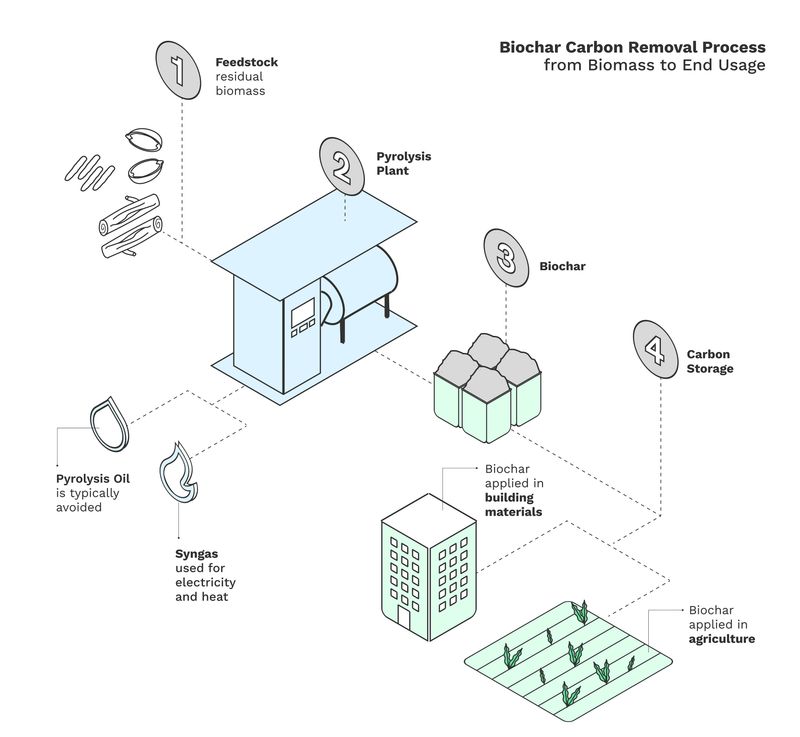 Biochar in Carbon Credits