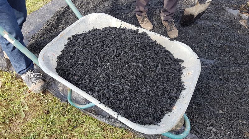 Biochar Enrichment
