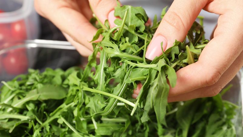 Arugula