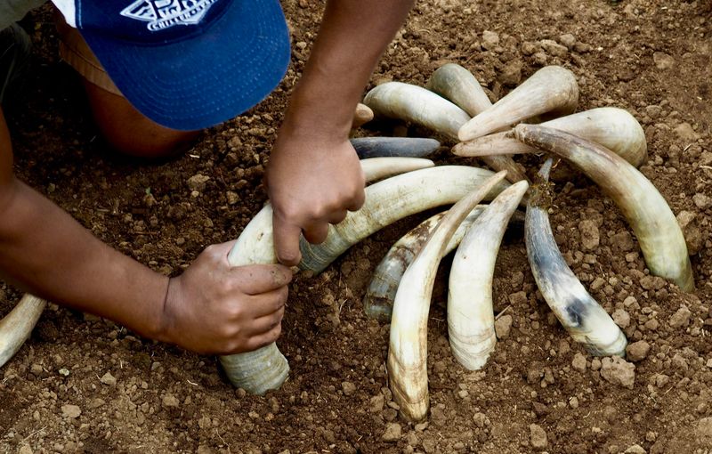 Biodynamic Preparations