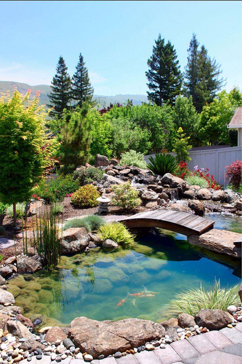 Koi Pond Feature