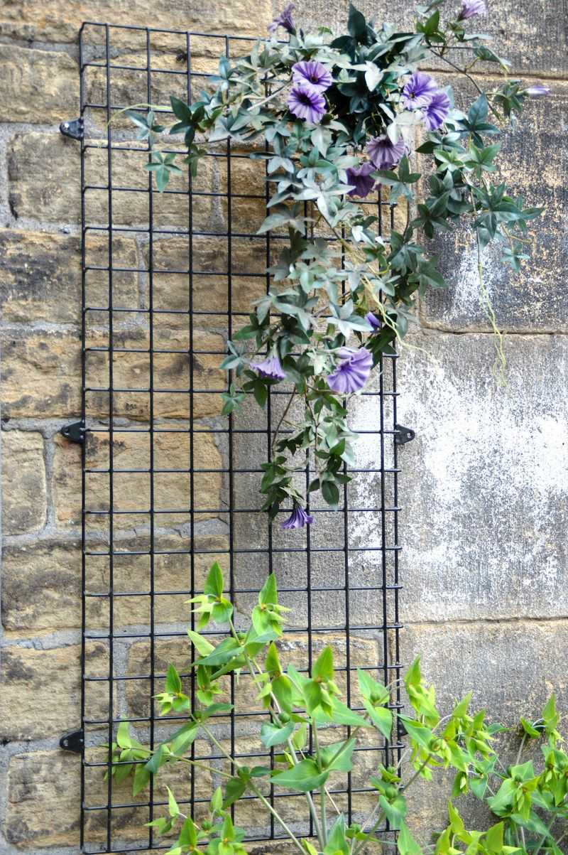 Mesh Wall Trellis