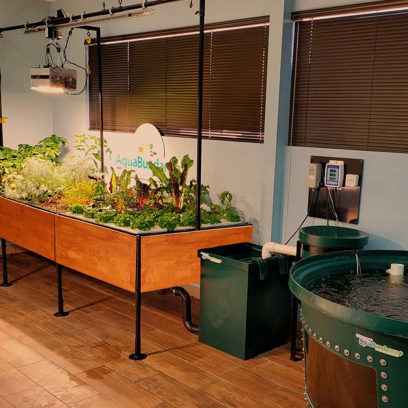 Aquaponics Systems