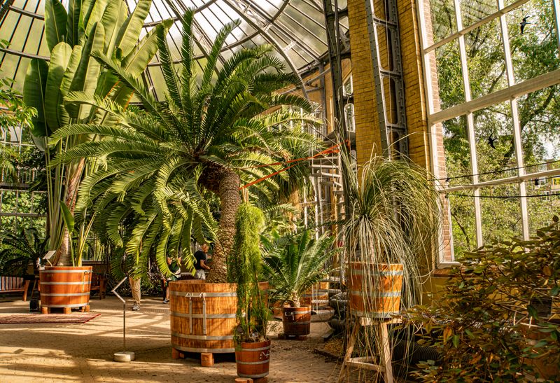 Hortus Botanicus, Netherlands