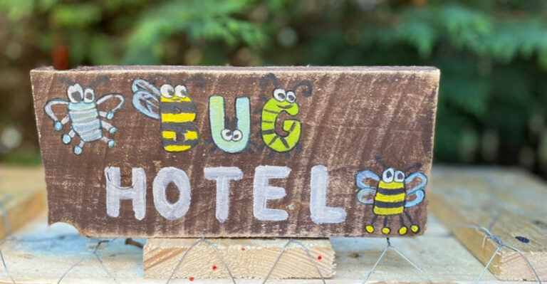 Build Your Own Bug Hotel: Here’s How