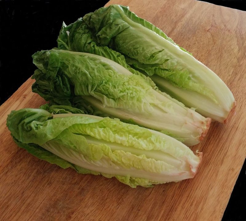 Romaine Lettuce Stalks