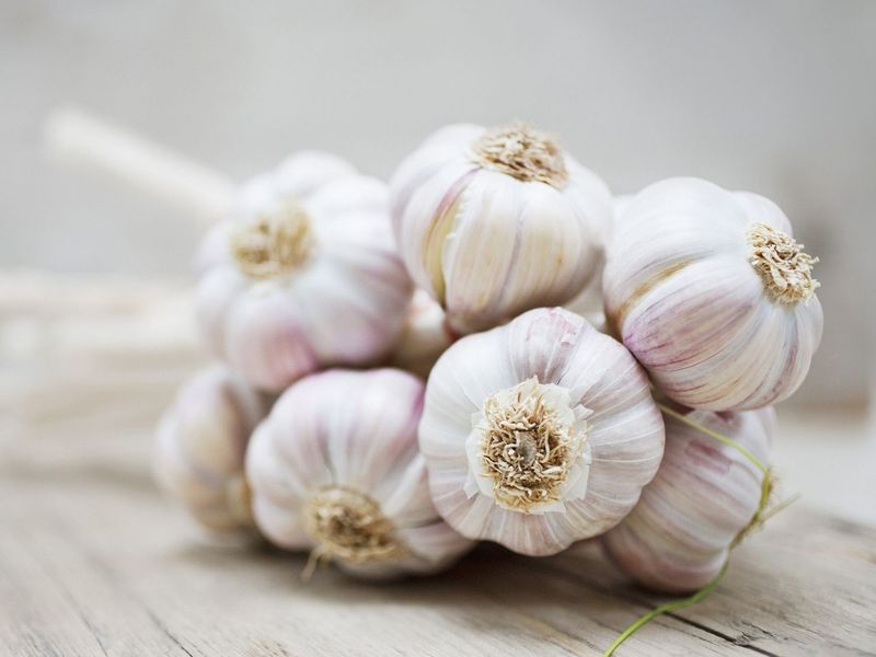 Garlic – Contains allicin, a powerful anti-inflammatory and immune-booster.
