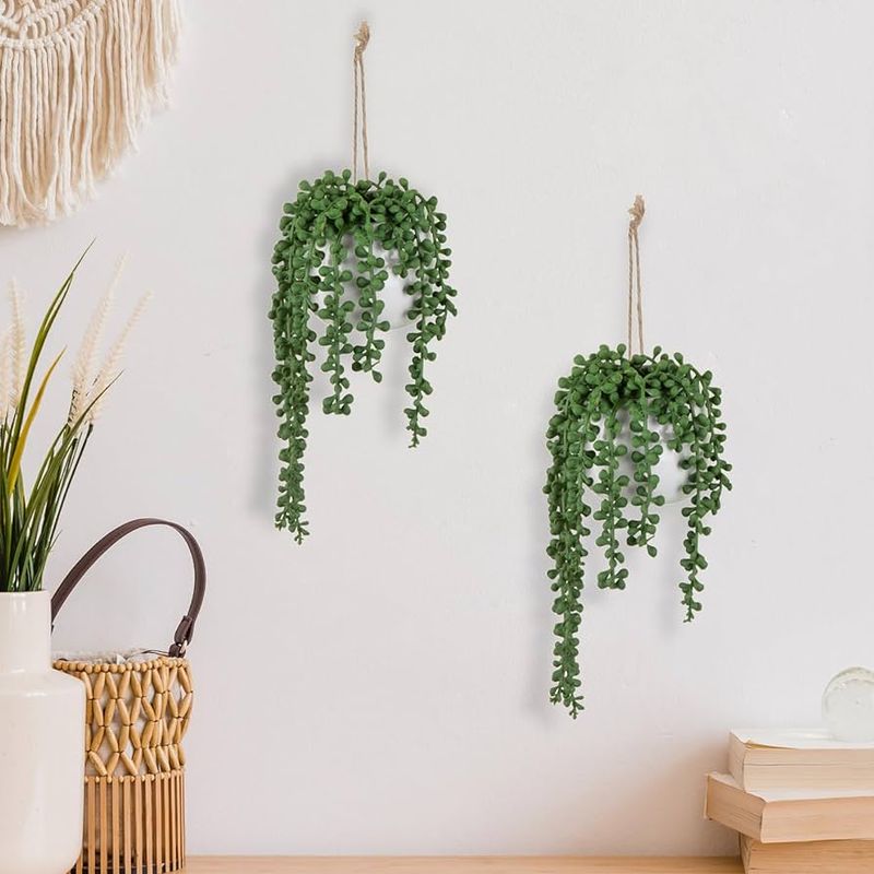 String of Pearls (Senecio rowleyanus)