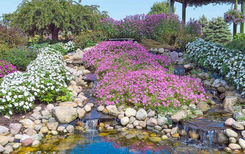 Create a Rock Garden