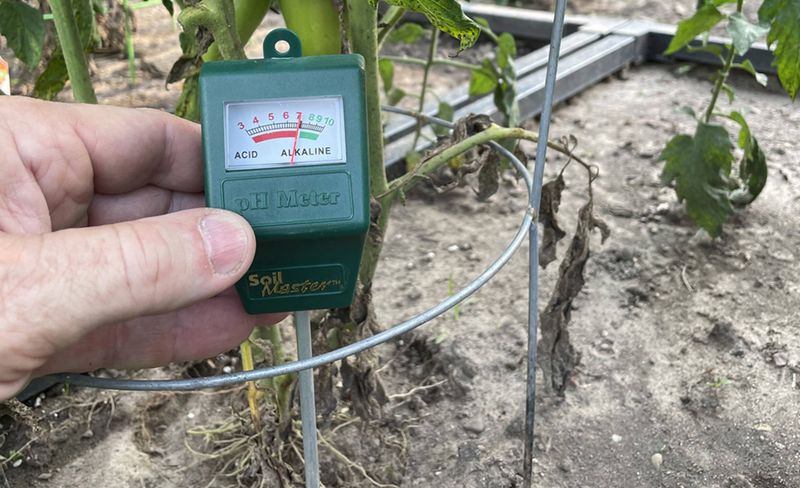 Test & Prep Your Soil