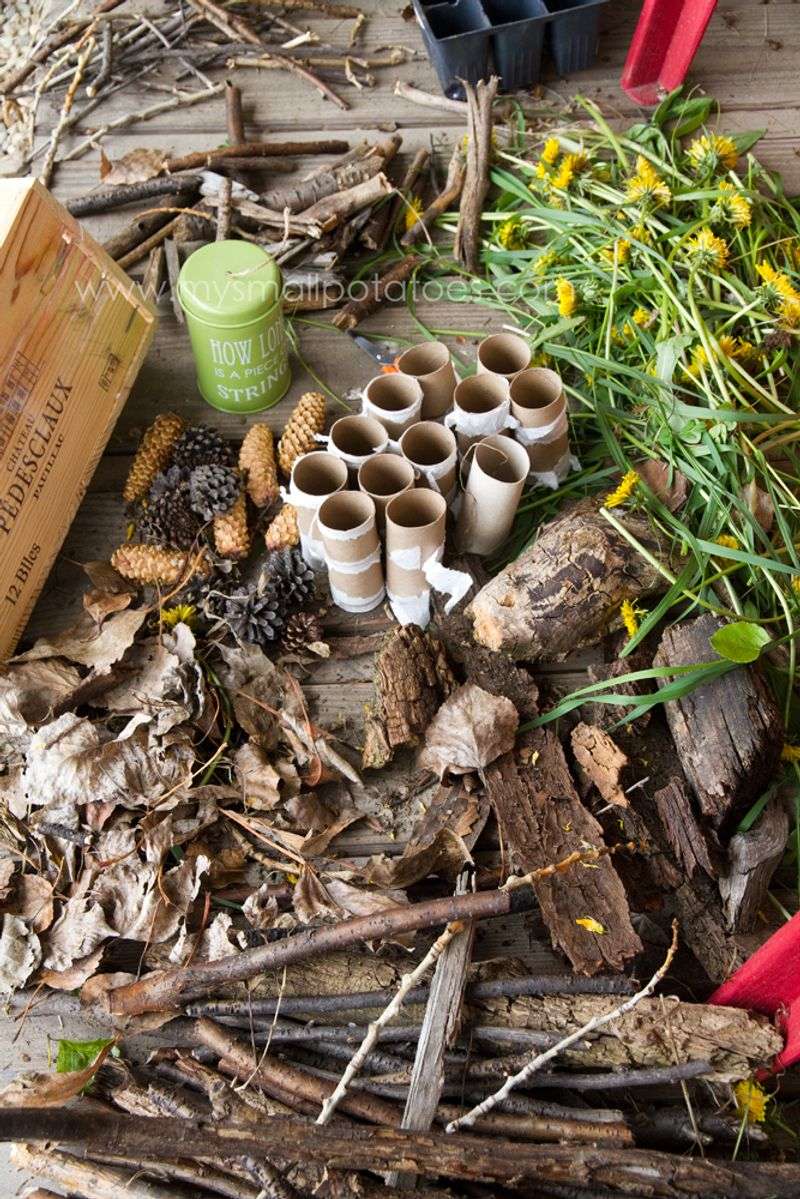 Gather Natural Materials