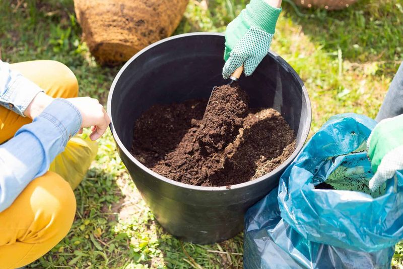 Use Well-Draining Soil