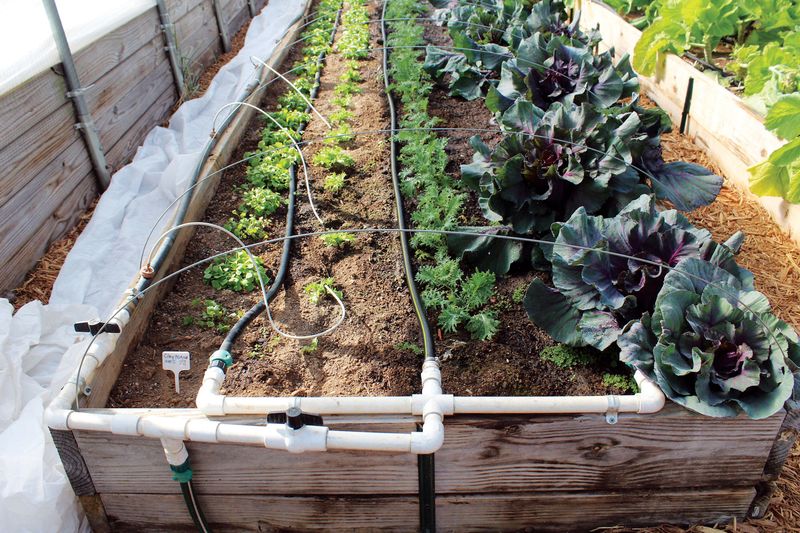 Implement Efficient Watering Systems