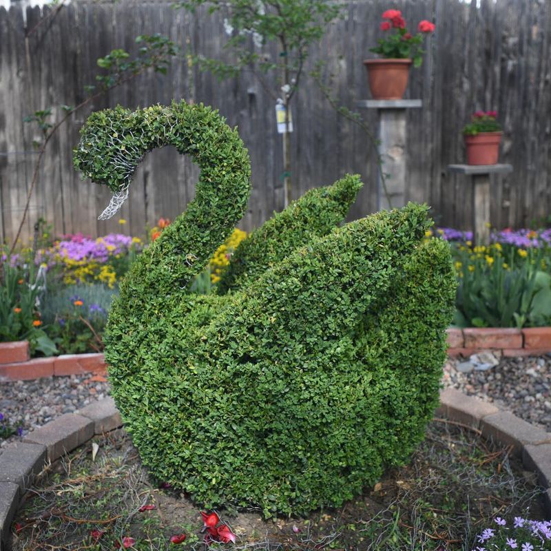 Artistic Topiary