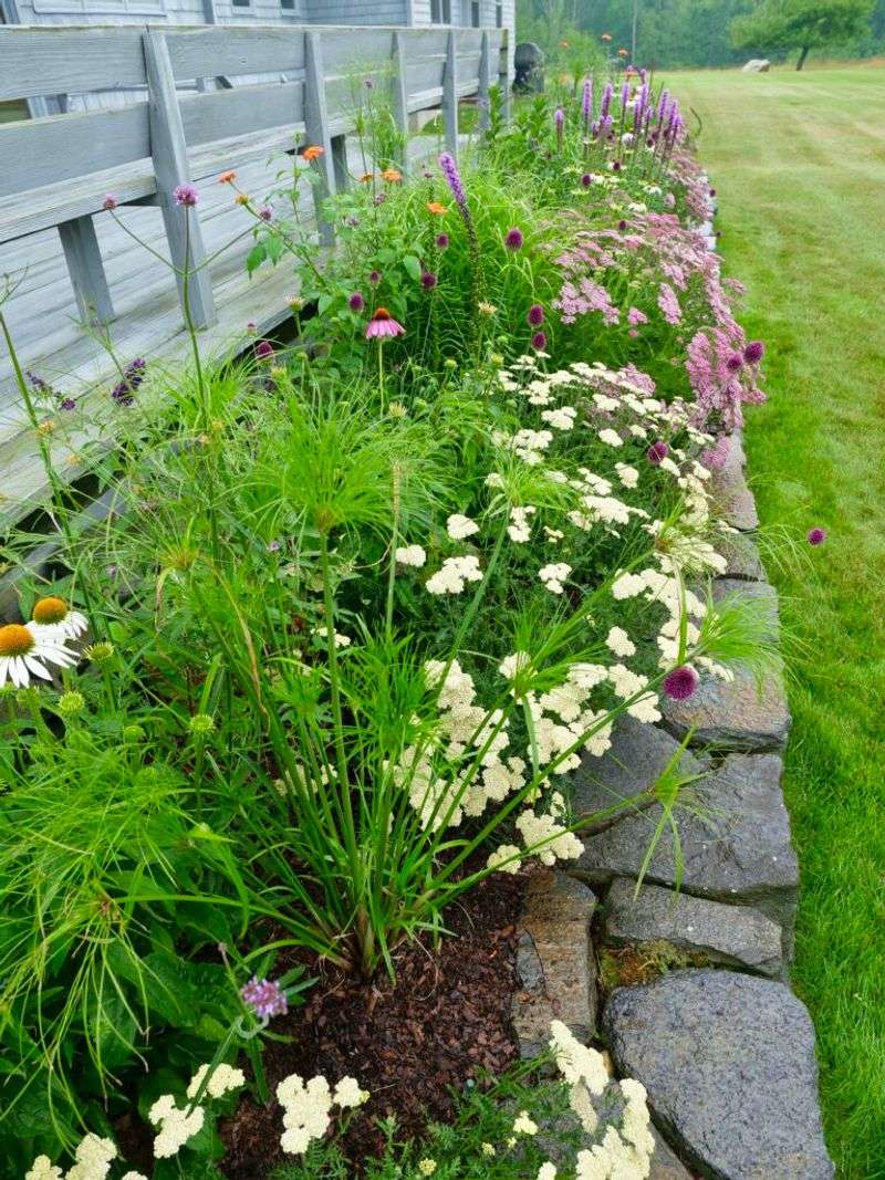 Perennial and Annual Mix