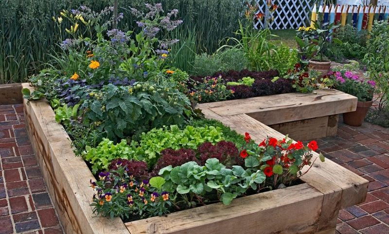 Raised Bed Gardening