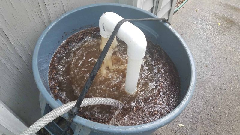 The Art of Brewing Compost Tea