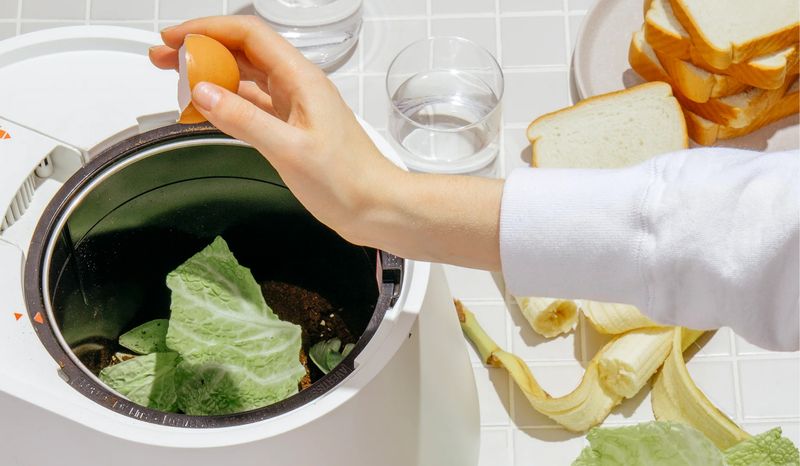 Countertop Digesters