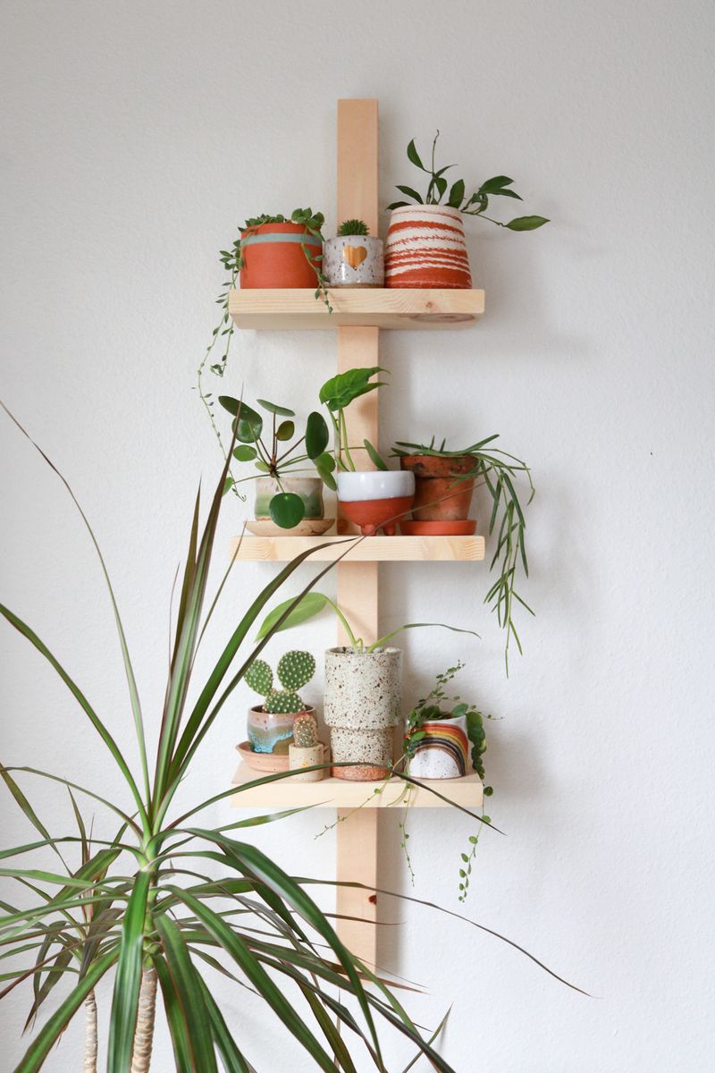 DIY Plant Shelves