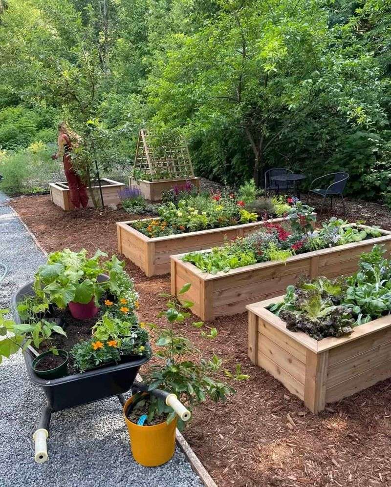 Raised Bed Gardens